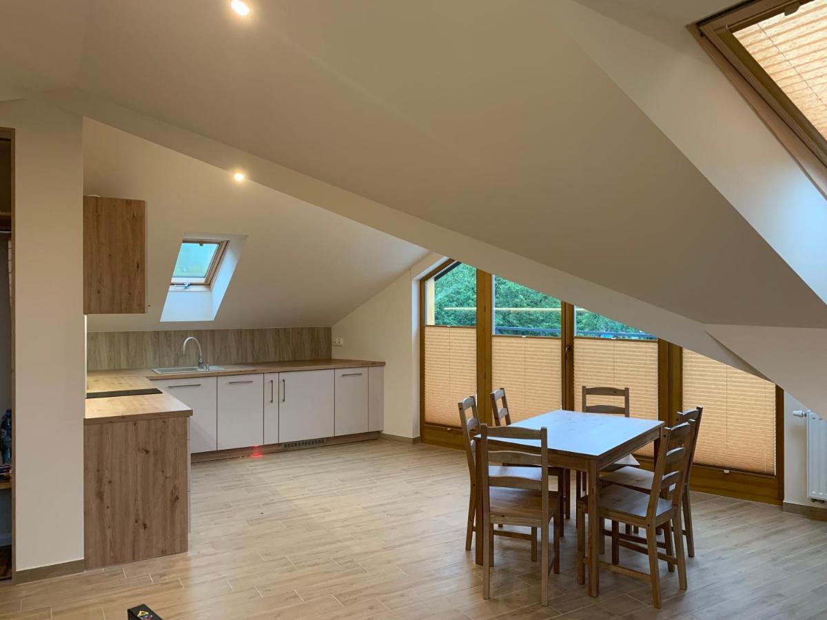 Apartmán Mlynek Parkowa Zakopane Exteriér fotografie