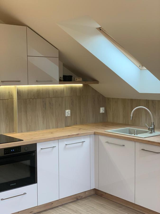 Apartmán Mlynek Parkowa Zakopane Exteriér fotografie
